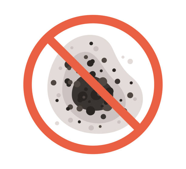 Palisade, CO Mold Removal Company