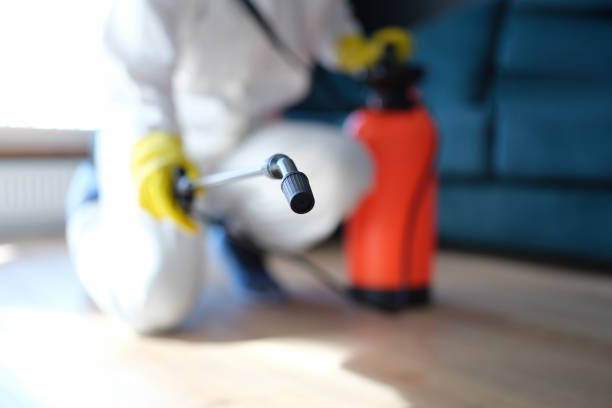 Best Commercial Mold Inspection  in Palisade, CO