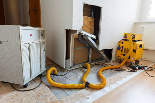 Best Crawl Space Mold Remediation  in Palisade, CO